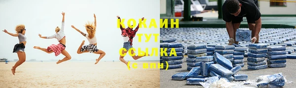 крисы Куйбышев
