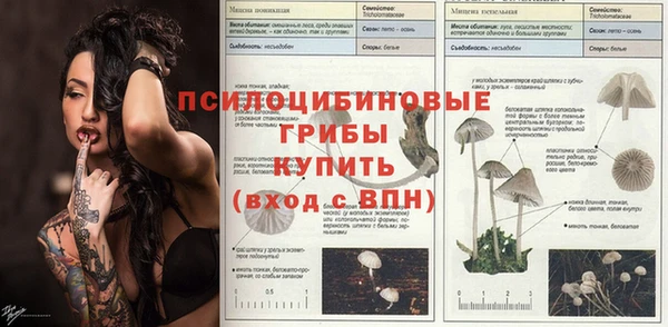 спайс Кукмор