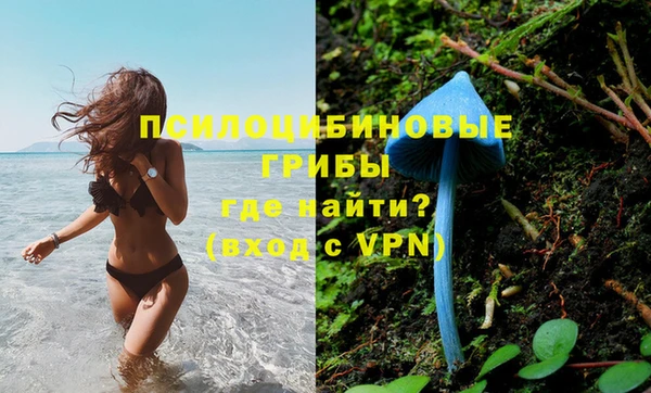 спайс Кукмор