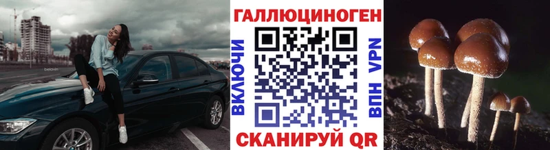 Галлюциногенные грибы Psilocybe  Купить закладки  Арсеньев 